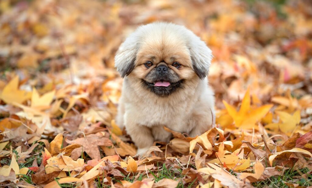 ミラドライの副作用にはどんなものがあるのか？