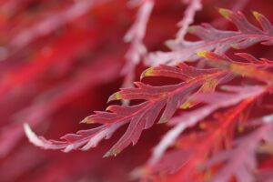 ミラドライの相場について知っておくべきポイントは？