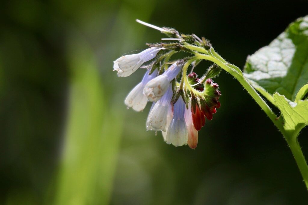 ワキガを自然治癒するための方法は？