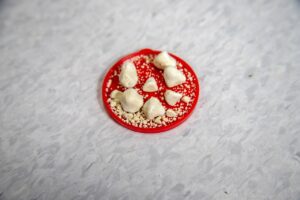 ワキガ手術の痛みはどれくらいか知りたいですか？