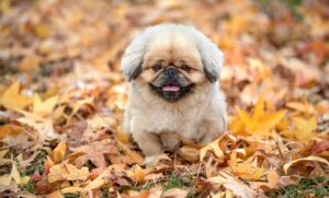 脇の臭いの原因とその対策は何ですか？