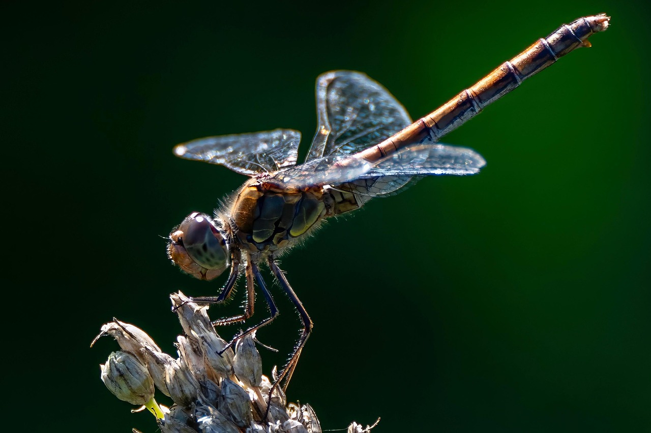 ワキガ対策に効果的なおすすめグッズは？