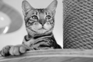 朝のひげ剃りと一緒にできる体臭ケアの方法は？