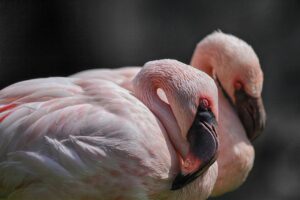 ワイシャツの脇部分をつけ置きする時短方法とは？