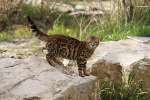 ワキガに関する失敗した体験談から学ぶべきことは？