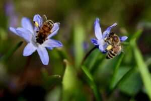 ワキガの悩みを専門家に相談できる方法は？