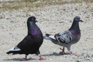 ワキガの見積もり依頼はどうするべき？