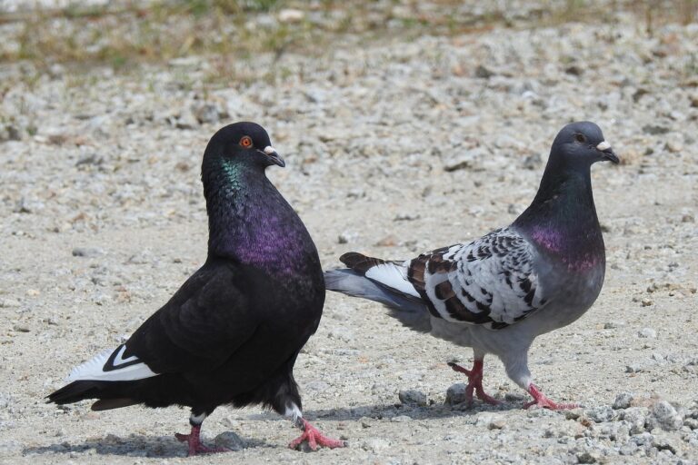 ワキガの見積もり依頼はどうするべき？